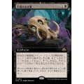 [EX+](フルアート)不死のさざ波/Ripples of Undeath《日本語》【MH3】