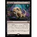 [EX+]不死のさざ波/Ripples of Undeath《日本語》【MH3】