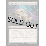[EX+]不死のさざ波/Ripples of Undeath《日本語》【MH3】