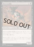 [EX+](FOIL)呪われた匪賊/Accursed Marauder《日本語》【MH3】