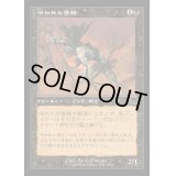 [EX+](旧枠仕様)呪われた匪賊/Accursed Marauder《日本語》【MH3】