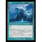 (FOIL)(旧枠仕様)緻密/Subtlety《日本語》【H2R】