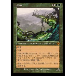 画像1: (旧枠仕様)忍耐/Endurance《日本語》【H2R】
