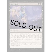 [EX+](FOIL)激しい腐敗/Consuming Corruption《日本語》【MH3】