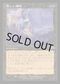[EX+](FOIL)(旧枠仕様)激しい腐敗/Consuming Corruption《日本語》【MH3】