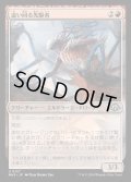 [EX+](FOIL)這い回る先駆者/Skittering Precursor《日本語》【MH3】