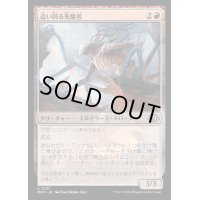 [EX+](FOIL)這い回る先駆者/Skittering Precursor《日本語》【MH3】