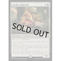 [EX](FOIL)まき散らす菌糸生物/Sowing Mycospawn《日本語》【MH3】