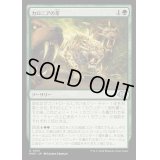 [EX+](FOIL)カロニアの牙/Fangs of Kalonia《日本語》【MH3】