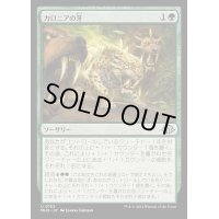 [EX+](FOIL)カロニアの牙/Fangs of Kalonia《日本語》【MH3】