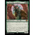 [EX+]コーヴェクダル、エラダムリー/Eladamri, Korvecdal《日本語》【MH3】