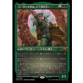 (エッチングFOIL)コーヴェクダル、エラダムリー/Eladamri, Korvecdal《日本語》【MH3】