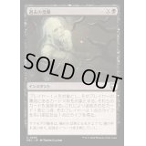 [EX+]過去の受難/Suffer the Past《日本語》【M3C】