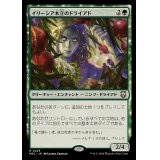 イリーシア木立のドライアド/Dryad of the Ilysian Grove《日本語》【M3C】