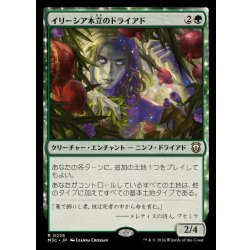 画像1: イリーシア木立のドライアド/Dryad of the Ilysian Grove《日本語》【M3C】