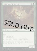 [EX+](FOIL)ベラドンナのドライアド/Nightshade Dryad《日本語》【MH3】