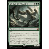 ウルヴェンワルドのハイドラ/Ulvenwald Hydra《日本語》【M3C】