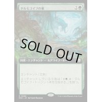 [EX+](フルアート)タルモゴイフの巣/Tarmogoyf Nest《日本語》【M3C】