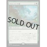 [EX+]タルモゴイフの巣/Tarmogoyf Nest《日本語》【M3C】