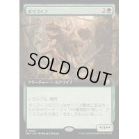 [EX+](フルアート)ポリゴイフ/Polygoyf《日本語》【M3C】