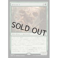 ポリゴイフ/Polygoyf《日本語》【M3C】