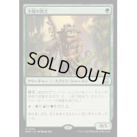[EX+]下賤の教主/Ignoble Hierarch《日本語》【M3C】