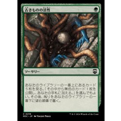 画像1: 古きものの活性/Ancient Stirrings《日本語》【M3C】