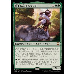画像1: [EX+]野生の心、セルヴァラ/Selvala, Heart of the Wilds《日本語》【M3C】