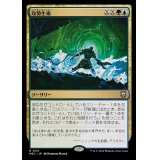 攻勢生術/Aggressive Biomancy《日本語》【M3C】