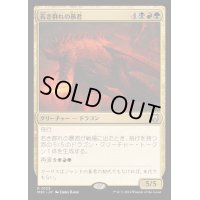 [EX+]若き群れの暴君/Broodmate Tyrant《日本語》【M3C】