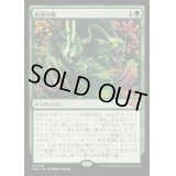 [PLD]出産の儀/Birthing Ritual《日本語》【MH3】