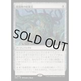 [EX+]仮面林の結節点/Maskwood Nexus《日本語》【M3C】