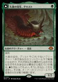 [EX]大食の幼生、グリスト/Grist, Voracious Larva《日本語》【MH3】