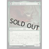 [EX](FOIL)大食の幼生、グリスト/Grist, Voracious Larva《日本語》【MH3】