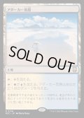 [EX+]アダーカー荒原/Adarkar Wastes《日本語》【M3C】
