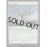 [EX+]ハイドラの巣/Lair of the Hydra《日本語》【M3C】