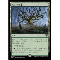 ハイドラの巣/Lair of the Hydra《日本語》【M3C】