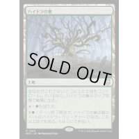 [EX+]ハイドラの巣/Lair of the Hydra《日本語》【M3C】