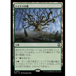 画像1: ハイドラの巣/Lair of the Hydra《日本語》【M3C】