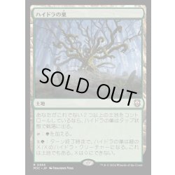 画像1: [EX+]ハイドラの巣/Lair of the Hydra《日本語》【M3C】