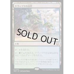 画像1: ヤヴィマヤの沿岸/Yavimaya Coast《日本語》【M3C】