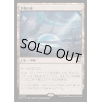 [EX+]下層の座/Trenchpost《日本語》【M3C】