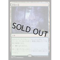 [EX+]夢根の滝/Dreamroot Cascade《日本語》【M3C】
