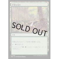 [EX+]平穏な茂み/Tranquil Thicket《日本語》【M3C】
