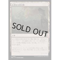 [EX+]広漠なる変幻地/Terramorphic Expanse《日本語》【M3C】