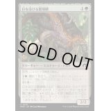 (FOIL)日を浴びる繁殖鱗/Basking Broodscale《日本語》【MH3】