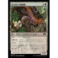 日を浴びる繁殖鱗/Basking Broodscale《日本語》【MH3】