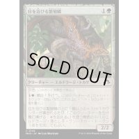 [EX+](FOIL)日を浴びる繁殖鱗/Basking Broodscale《日本語》【MH3】
