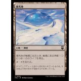 微光地/Glimmerpost《日本語》【M3C】