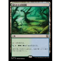 溢れかえる果樹園/Flooded Grove《日本語》【M3C】